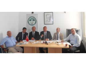 Zeytinyağında 130 Bin Ton Rekolte Bekleniyor