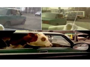 Türkiye Değil, Rusya