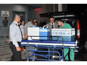 Organları 3 Kişiye Can Oldu