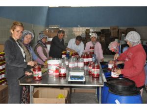 Avrupaya İnegöl Salçası