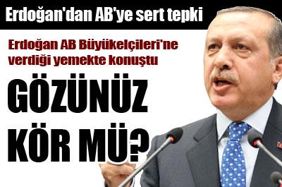 Erdoğandan ABye sert tepki 