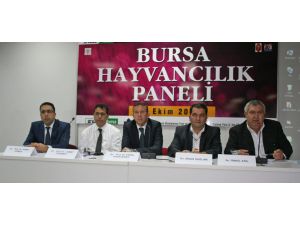 Teşvikler Gerçek Üreticiye Gitmiyor