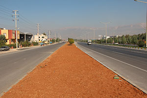 Refüj Bakımı Doğu Çevre Yolunda