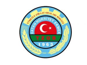 Narenciye Hasadı Ve Üretici Beklentileri