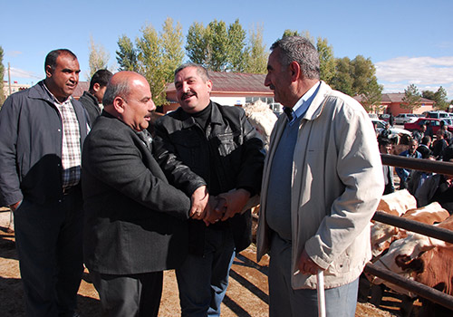 Hayvan Borsası’nda Kurbanlık Satışları Başladı