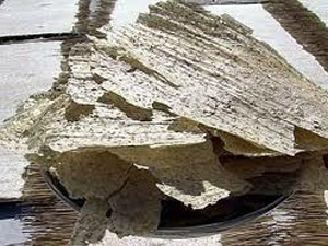 ‘K.Maraş tarhanası neden Somali’de değil!’