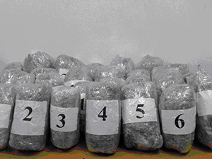 65 Kilo Esrar İle Yakalandılar