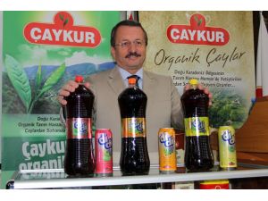 Çaykurda 2013 Yılı Yaş Çay Alım Kampanyası Sona Erdi