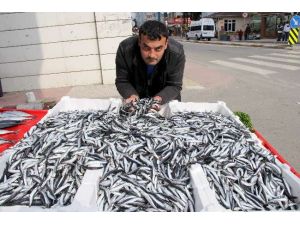 3 Liraya Kadar Düştü