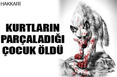 Küçük çocuğu kurtlar parçaladı! 