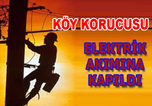 Elektrik Akımına Kapılan Köy Korucusu Öldü