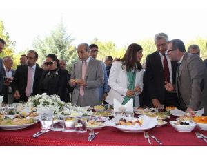 Bunların Tamamı Dedikodu, Uydurmadır