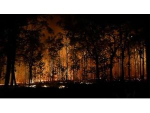 Avustralya Yanıyor !