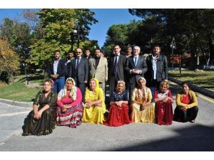 İşe Alındık, At Göbecikleri