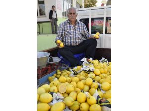 Limon Seyyarda Daha Ucuz