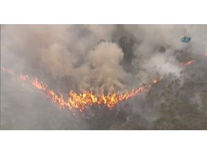 Orman Yangınları Kontrol Altına Alınamıyor