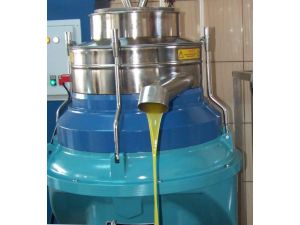 Erken Hasat Zeytinyağına Yaradı