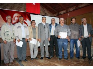 Tariş Zeytin Ve Zeytinyağı Birliği Başkanı Cahit Çetin: