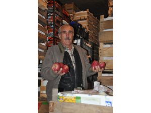 İnegölden Rusyaya Meyve İhracatı