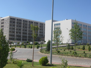 Zirve Zirveye Çıktı