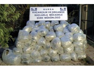 Tekstil Değil Uyuşturucu Fabrikası