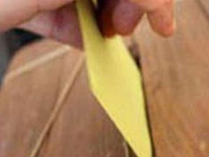 Kosova’daki Seçimler Durduruldu