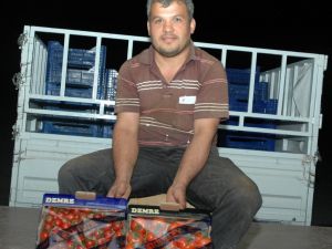 Büyükşehirler Bir Ay Daha Pahalı Domates Yiyecek