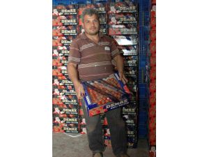 Domates Ne Zaman Ucuzlayacak?