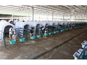 İz Hayvancılık Tarım Halka Arz Oluyor