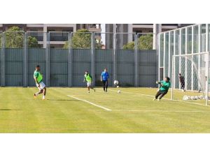 Yaralı Timsah Gol Çalıştı