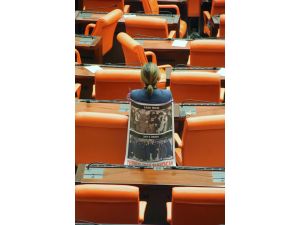 Meclis’te Duran Kadın Eylemi