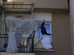 Güvercinlere İbret Olsun Diye !