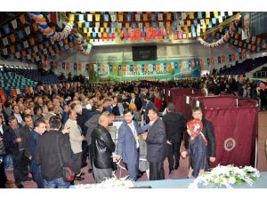 Ak Parti Trabzon Teşkilatı, Temayül İçin Sandık Başında