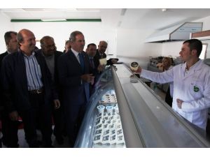 Bursa Büyükşehir Belediyesinden Kırsal Kalkınma Hamlesi