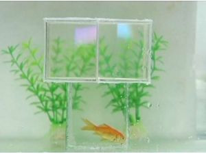 Görünmezlik Gerçek Oldu