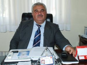 Turfanda Çilek Hasadı Başladı