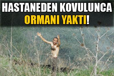 Hastaneden kovulunca ormanı yaktı 