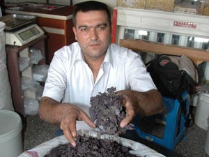 Elbistan Reyhanı Marka Oluyor