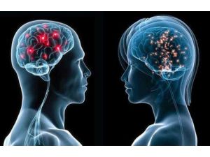 Kadınlar Mı Daha Erkekler Mi ?