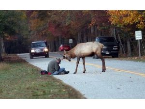 Fotoğrafçının Geyikle İmtihanı