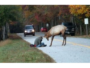 Mahallenin Ağır Abisi Posta Koydu