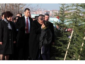 Başbakan Erdoğan “5 Milyon Öğrenci İçin 5 Milyon Fidan Dikiyoruz” Etkinliğine Katıldı