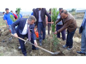 Fikret Orman’dan Fevzi Açıklaması