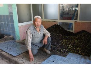 Zeytinyağı Yok Satıyor