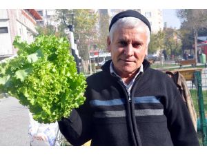 (Özel Haber) İstanbulda Cep Yakan Sebzeler Balıkesirde Sudan Ucuz