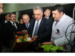 Bakan Yazıcı’dan Emekli Vatandaşa Zam Müjdesi