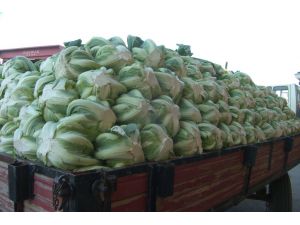 Kışlık Sebze Yüz Güldürüyor