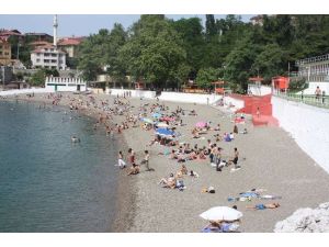 Plajlar Mercek Altında