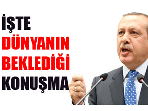 Erdoğan, Mısırda Konuştu