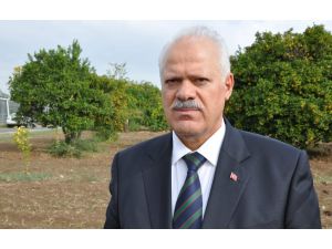 Tarsim Yönetim Kurulu Başkanı Kadak Mersinde